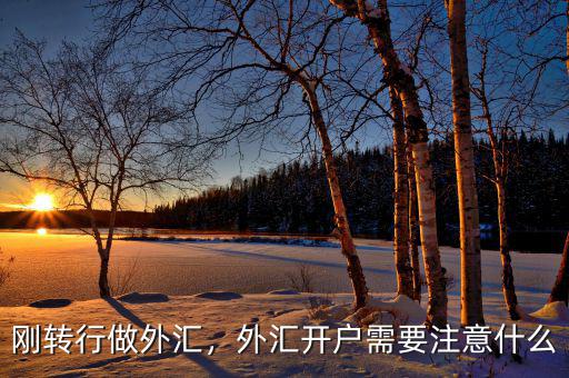 剛轉(zhuǎn)行做外匯，外匯開戶需要注意什么