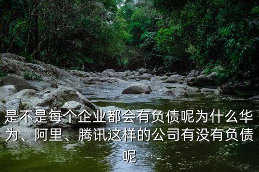 是不是每個(gè)企業(yè)都會(huì)有負(fù)債呢為什么華為、阿里、騰訊這樣的公司有沒有負(fù)債呢