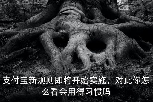 支付寶新規(guī)定什么時候實施,支付寶新規(guī)26日即將實施