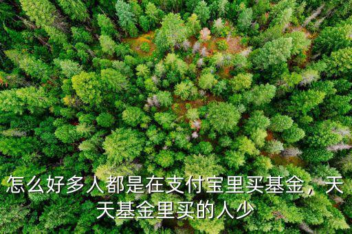 怎么好多人都是在支付寶里買基金，天天基金里買的人少