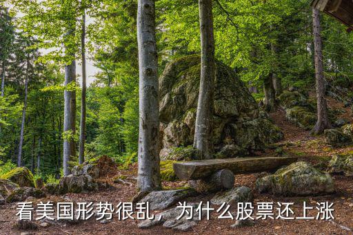 看美國(guó)形勢(shì)很亂，為什么股票還上漲