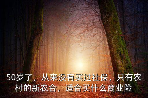 50歲了，從來沒有買過社保，只有農(nóng)村的新農(nóng)合，適合買什么商業(yè)險