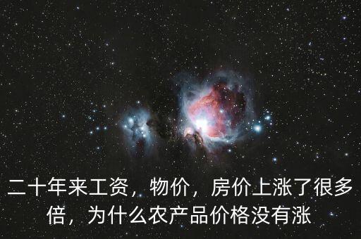 二十年來工資，物價(jià)，房?jī)r(jià)上漲了很多倍，為什么農(nóng)產(chǎn)品價(jià)格沒有漲