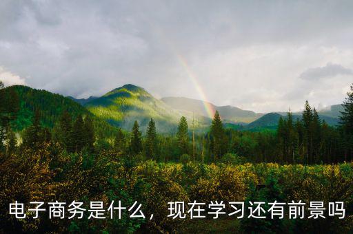 電子商務(wù)是什么，現(xiàn)在學(xué)習(xí)還有前景嗎