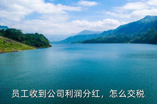 員工收到公司利潤(rùn)分紅，怎么交稅