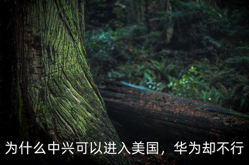 為什么中興可以進入美國，華為卻不行