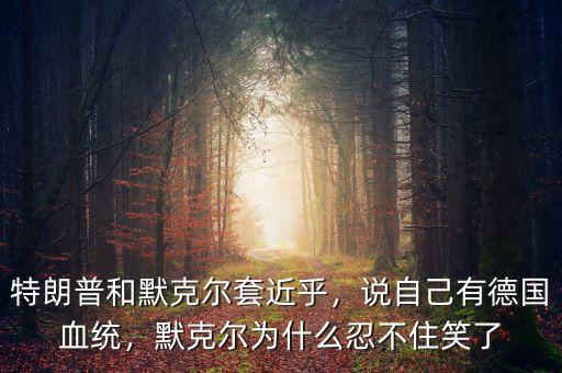 特朗普和默克爾套近乎，說自己有德國(guó)血統(tǒng)，默克爾為什么忍不住笑了