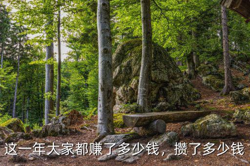 這一年大家都賺了多少錢，攢了多少錢