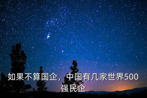 如果不算國企，中國有幾家世界500強民企