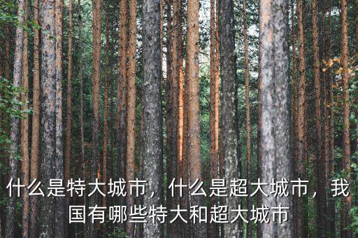 什么是特大城市，什么是超大城市，我國有哪些特大和超大城市