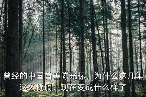 曾經(jīng)的中國首善陳光標(biāo)，為什么這幾年這么低調(diào)，現(xiàn)在變成什么樣了
