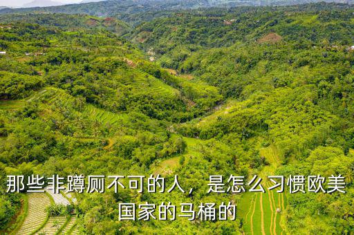 那些非蹲廁不可的人，是怎么習慣歐美國家的馬桶的