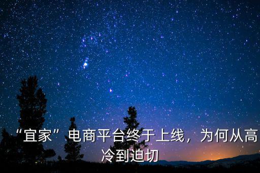 萬達(dá)電商平臺什么時(shí)候上線,宜家電商平臺終于上線