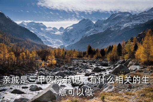 親戚是三甲醫(yī)院書記，有什么相關(guān)的生意可以做