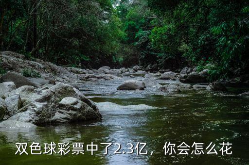雙色球彩票中了2.3億，你會(huì)怎么花