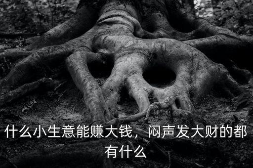 什么小生意能賺大錢，悶聲發(fā)大財?shù)亩加惺裁? class=