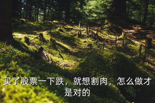 買了股票一下跌，就想割肉，怎么做才是對的