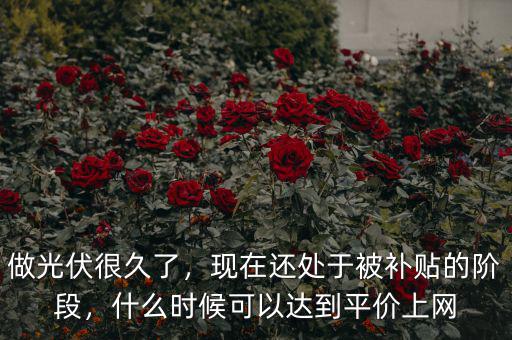 做光伏很久了，現(xiàn)在還處于被補貼的階段，什么時候可以達到平價上網(wǎng)