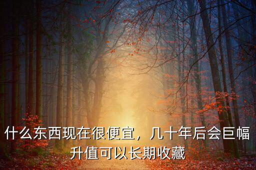 什么東西現(xiàn)在很便宜，幾十年后會(huì)巨幅升值可以長期收藏