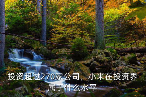 投資超過(guò)270家公司，小米在投資界屬于什么水平