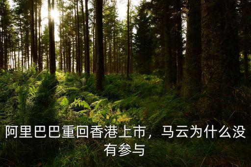 阿里巴巴重回香港上市，馬云為什么沒有參與