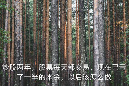 炒股兩年，股票每天都交易，現(xiàn)在已虧了一半的本金，以后該怎么做