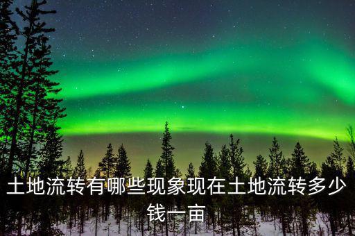 土地流轉后多少錢一畝,土地流轉有哪些現(xiàn)象