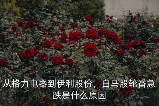 從格力電器到伊利股份，白馬股輪番急跌是什么原因