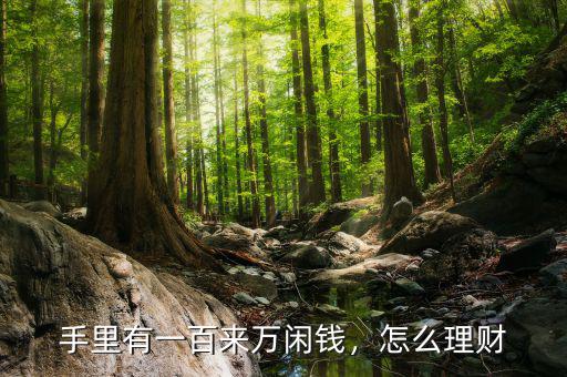 手里有一百來萬閑錢，怎么理財(cái)