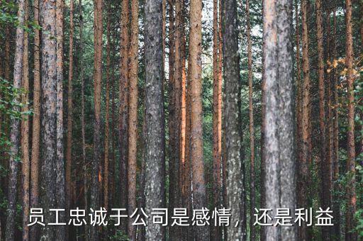 員工忠誠(chéng)于公司是感情，還是利益