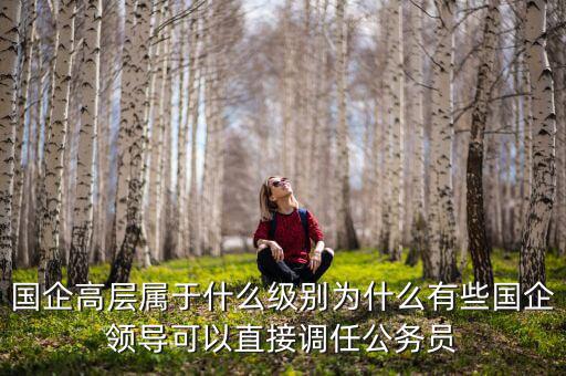 國企高層屬于什么級別為什么有些國企領導可以直接調(diào)任公務員
