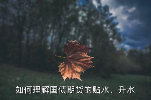如何理解國(guó)債期貨的貼水、升水