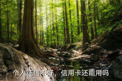 個(gè)人征信不好，信用卡還能用嗎