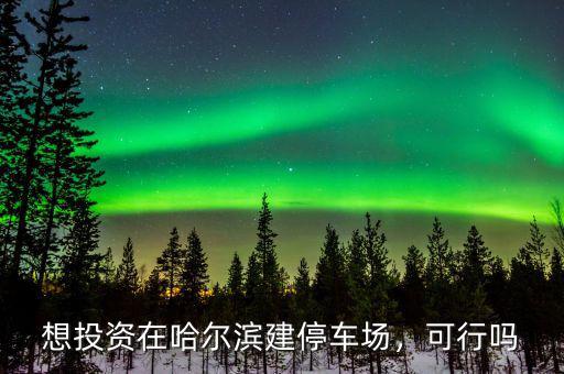 想投資在哈爾濱建停車(chē)場(chǎng)，可行嗎