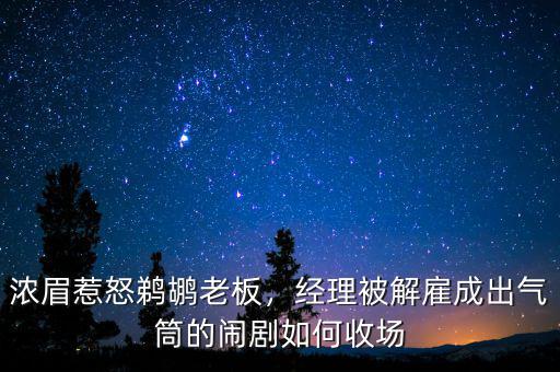 濃眉惹怒鵜鶘老板，經(jīng)理被解雇成出氣筒的鬧劇如何收?qǐng)? class=