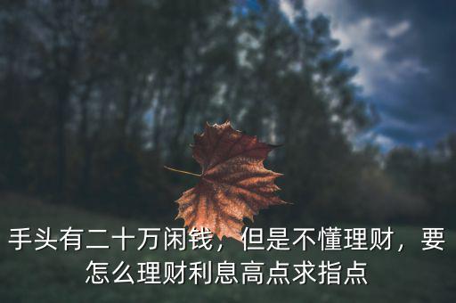 手頭有二十萬閑錢，但是不懂理財，要怎么理財利息高點求指點