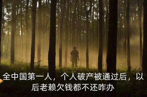全中國第一人，個人破產(chǎn)被通過后，以后老賴欠錢都不還咋辦