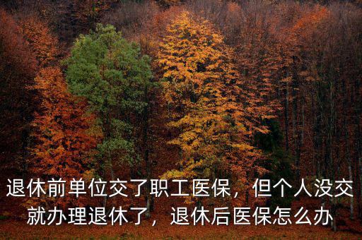 退休前單位交了職工醫(yī)保，但個(gè)人沒(méi)交就辦理退休了，退休后醫(yī)保怎么辦