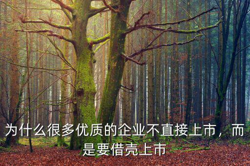 為什么很多優(yōu)質(zhì)的企業(yè)不直接上市，而是要借殼上市