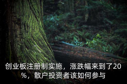 創(chuàng)業(yè)板注冊制實施，漲跌幅來到了20%，散戶投資者該如何參與