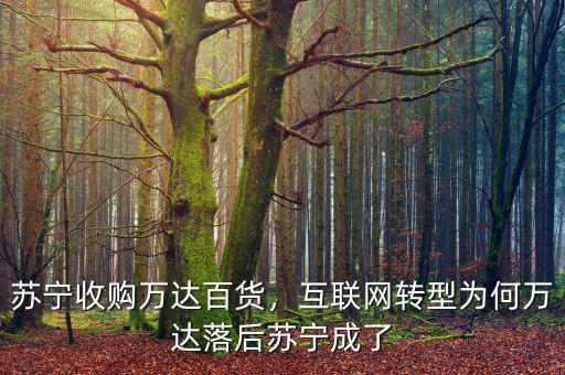 蘇寧收購萬達(dá)百貨，互聯(lián)網(wǎng)轉(zhuǎn)型為何萬達(dá)落后蘇寧成了