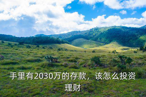 手里有2030萬的存款，該怎么投資理財(cái)