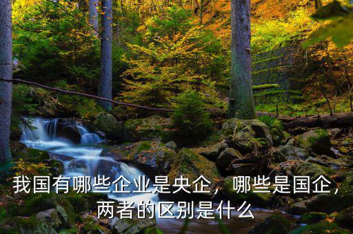 我國有哪些企業(yè)是央企，哪些是國企，兩者的區(qū)別是什么