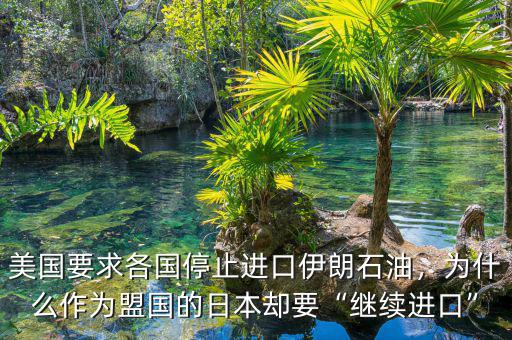 美國要求各國停止進口伊朗石油，為什么作為盟國的日本卻要“繼續(xù)進口”