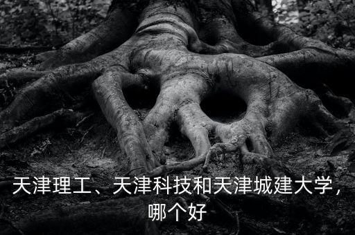天津理工、天津科技和天津城建大學，哪個好