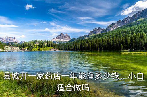 縣城開一家藥店一年能掙多少錢，小白適合做嗎
