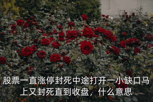 股票一直漲停封死中途打開一小缺口馬上又封死直到收盤，什么意思