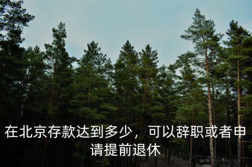 在北京存款達(dá)到多少，可以辭職或者申請(qǐng)?zhí)崆巴诵? class=