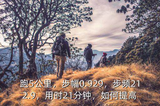 跑5公里，步幅0.929，步頻212.9，用時21分鐘，如何提高