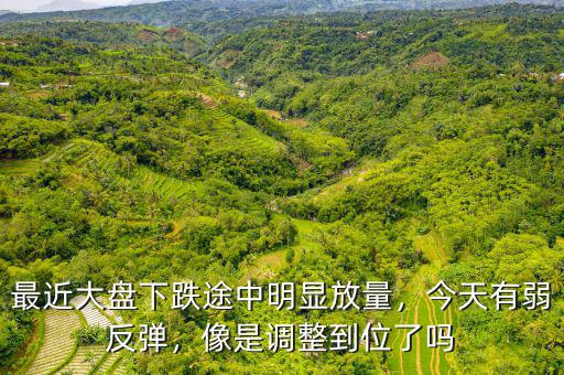 最近大盤下跌途中明顯放量，今天有弱反彈，像是調(diào)整到位了嗎